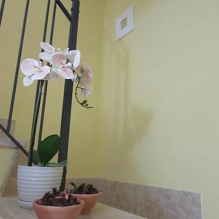 Antico Vicolo Scilla