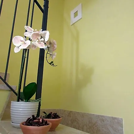 Antico Vicolo Bed and Breakfast 3*