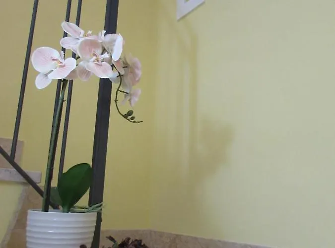 Antico Vicolo Scilla